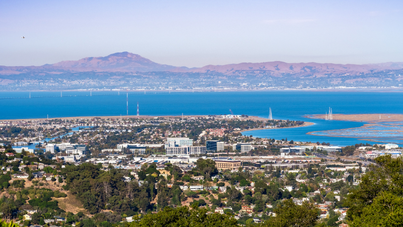 Aerial view of San Carlos